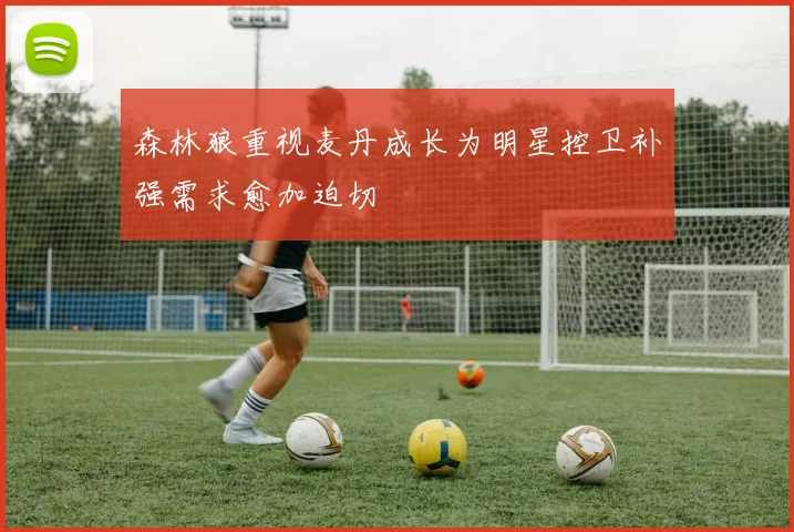 森林狼重视麦丹成长为明星控卫补强需求愈加迫切