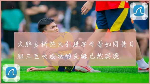 文胖分析热火引进字母哥如同昔日组三巨头成功的关键已然实现